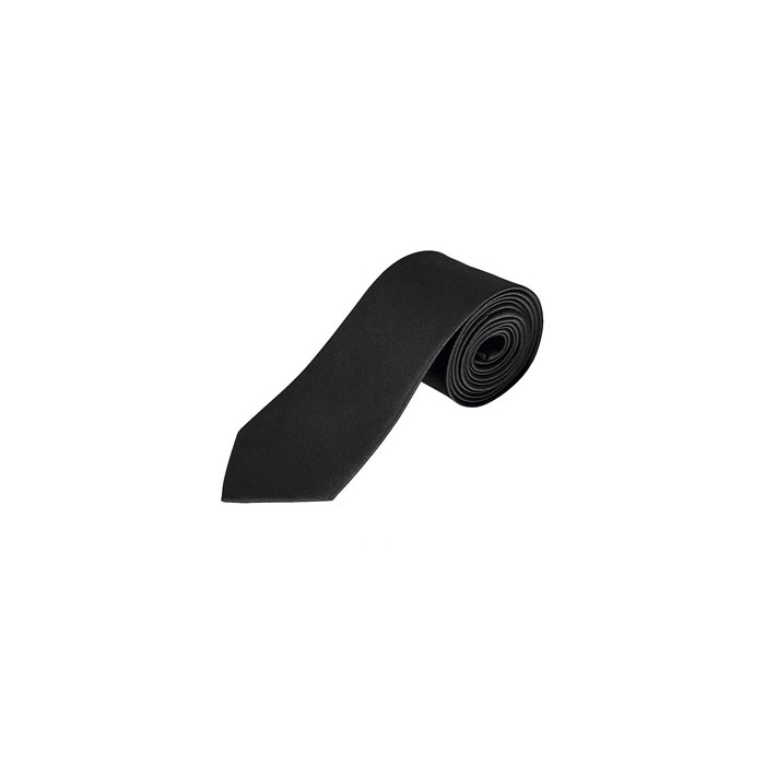Garner Satin Tie