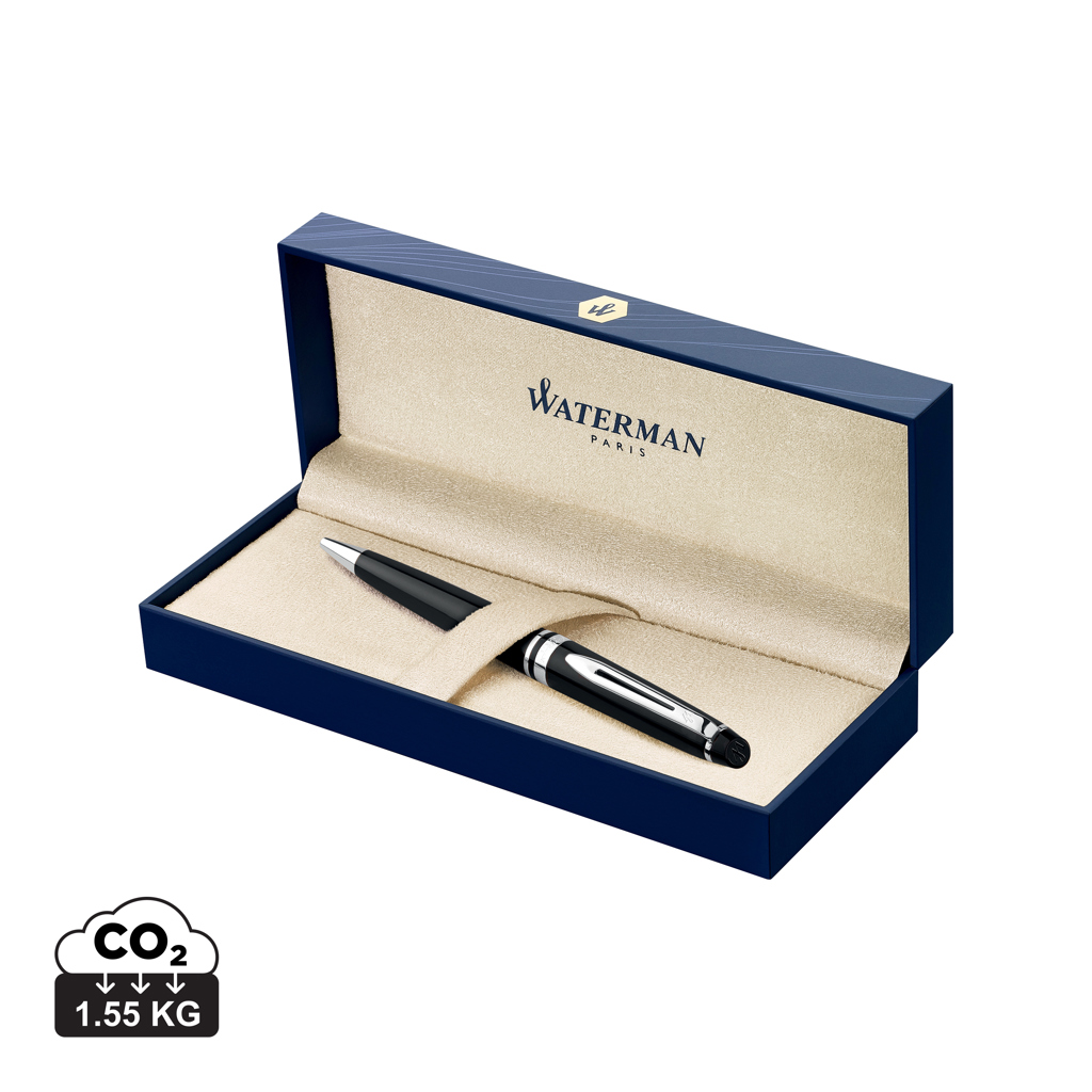 Waterman EXPERT CT pen black