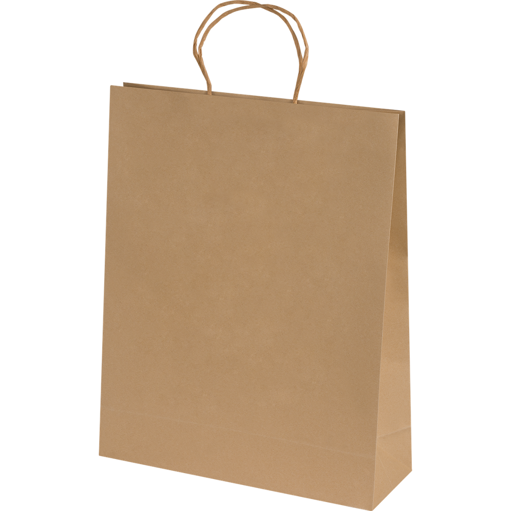 Ashdown Large Paper Gift Bag