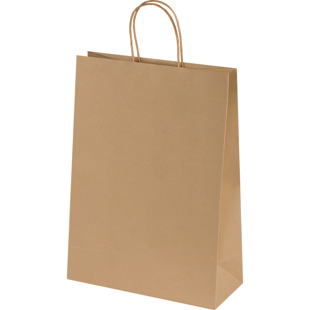 Ashdown Medium Paper Gift Bag