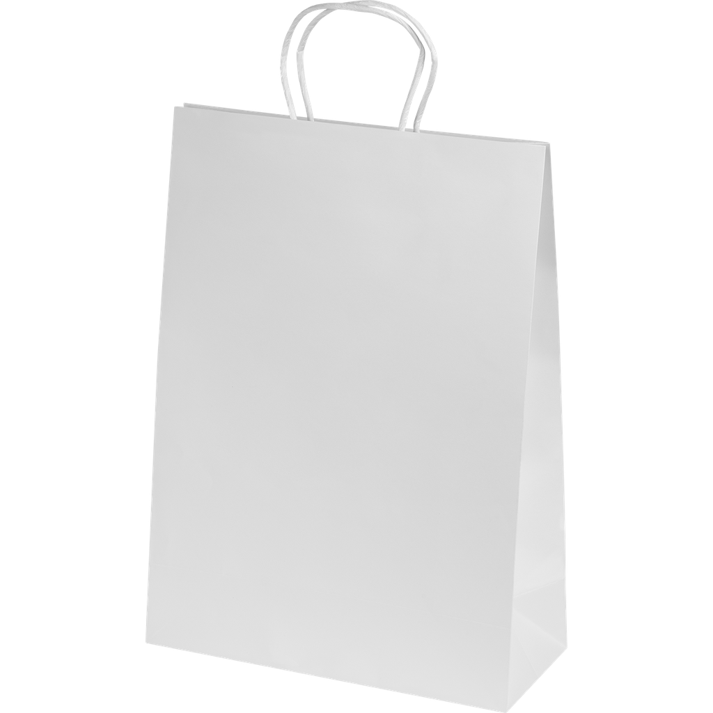Ashdown Medium Paper Gift Bag