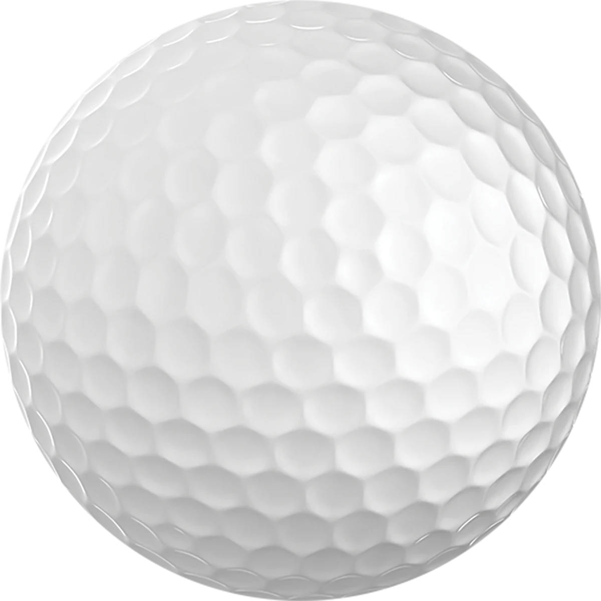 ProTech Air Ball (2 Piece)