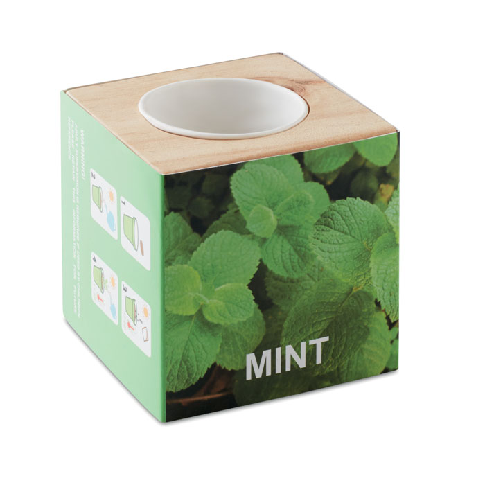 Herb Pot Wood "Mint"