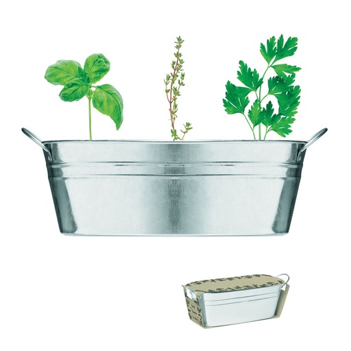[MO6497-16] Zinc Tub With 3 Herbs Seeds