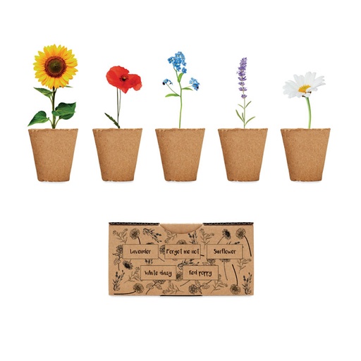 [MO6500-13] Flowers Growing Kit