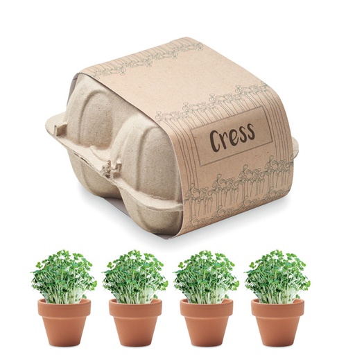 [MO6886-13] Egg Carton Growing Kit