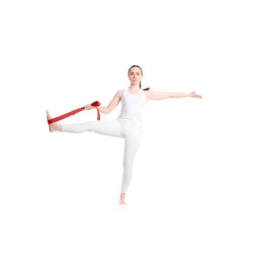 Virabha RPET yoga strap
